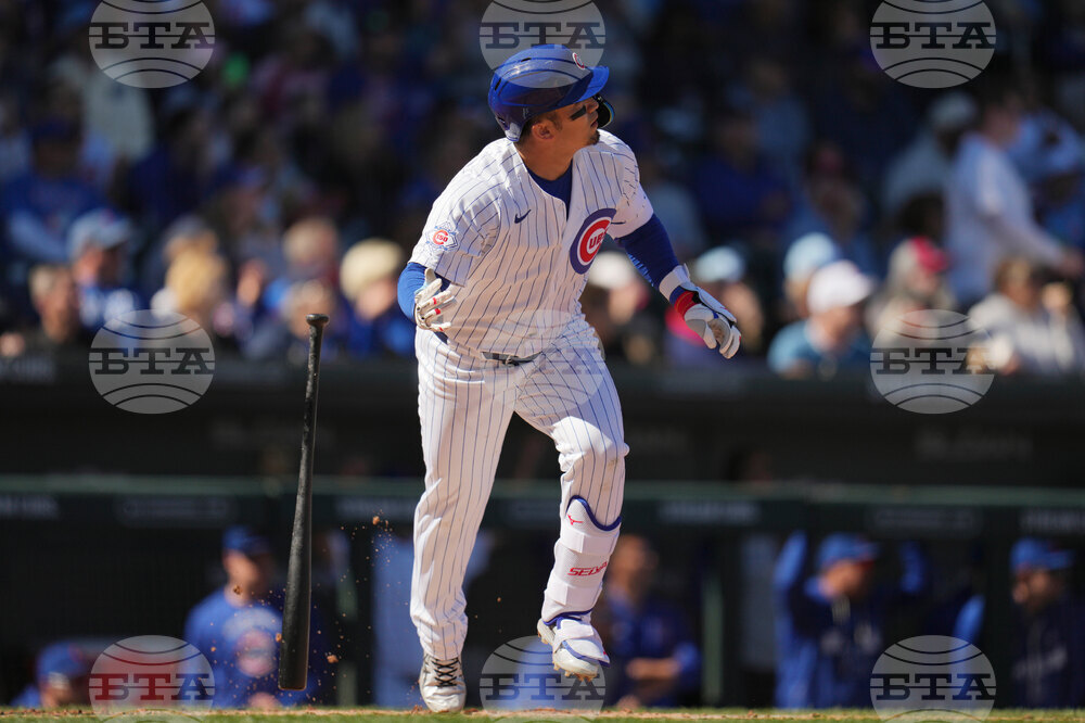 White Sox Cubs Spring Baseball
