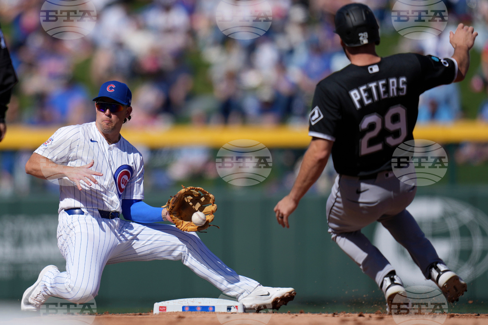 White Sox Cubs Spring Baseball