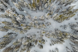 California Avalanche