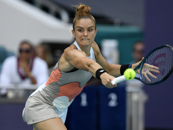 Miami Open Tennis