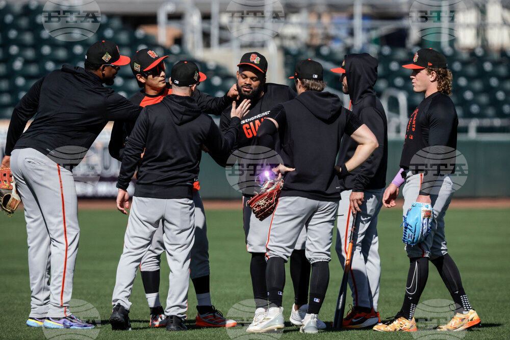 Giants Baseball Spring Training