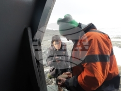 Antarctica - 34th Bulgarian Antarctic Expedition - Ernesto Batista