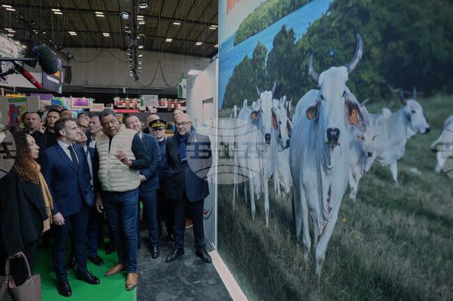 France Farmer Show