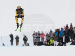 Milan Cortina Olympics Freestyle Skiing