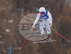 Milan Cortina Olympics Freestyle Skiing
