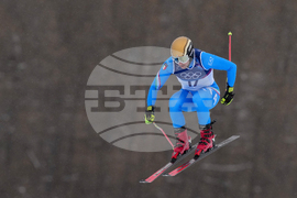 Milan Cortina Olympics Freestyle Skiing