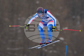 Milan Cortina Olympics Freestyle Skiing