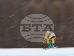 Milan Cortina Olympics Freestyle Skiing