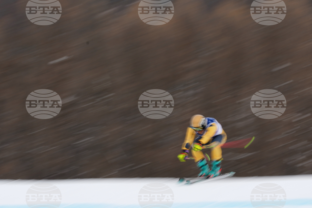 Milan Cortina Olympics Freestyle Skiing