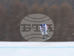 Milan Cortina Olympics Freestyle Skiing
