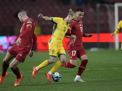 Serbia Lithuania Euro 2024 Soccer