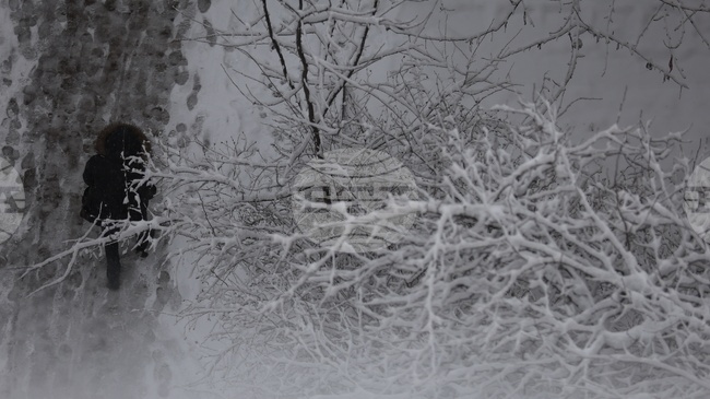 Прогноза за времето