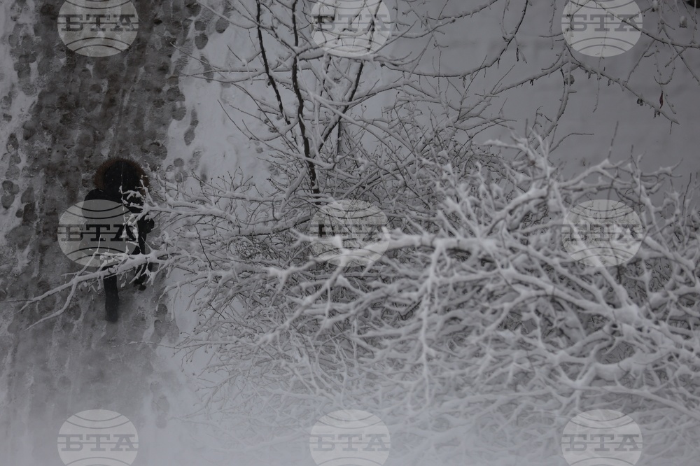 Прогноза за времето