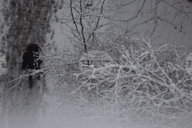 Прогноза за времето