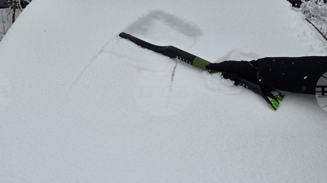 Ръководство, служители и фенове на ЦСКА почистиха терена на Националния стадион от натрупалия сняг