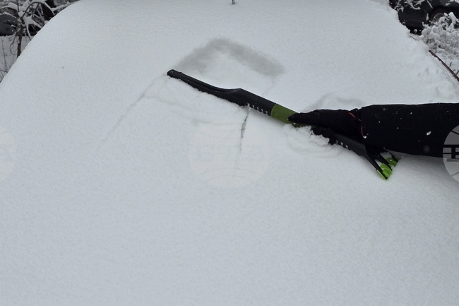 Ръководство, служители и фенове на ЦСКА почистиха терена на Националния стадион от натрупалия сняг