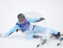 Milan Cortina Olympics Freestyle Skiing