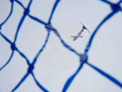 Milan Cortina Olympics Freestyle Skiing