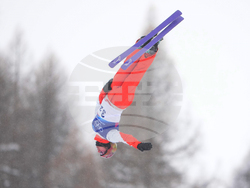 Milan Cortina Olympics Freestyle Skiing