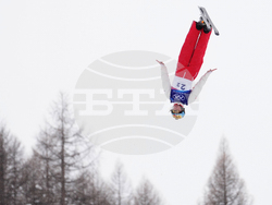 Milan Cortina Olympics Freestyle Skiing