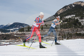 Milan Cortina Olympics Cross Country