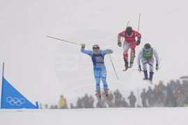 Milan Cortina Olympics Freestyle Skiing