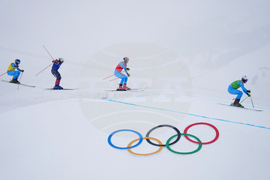 Milan Cortina Olympics Freestyle Skiing