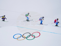 Milan Cortina Olympics Freestyle Skiing