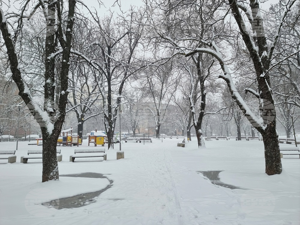 Монтана - зимна обстановка