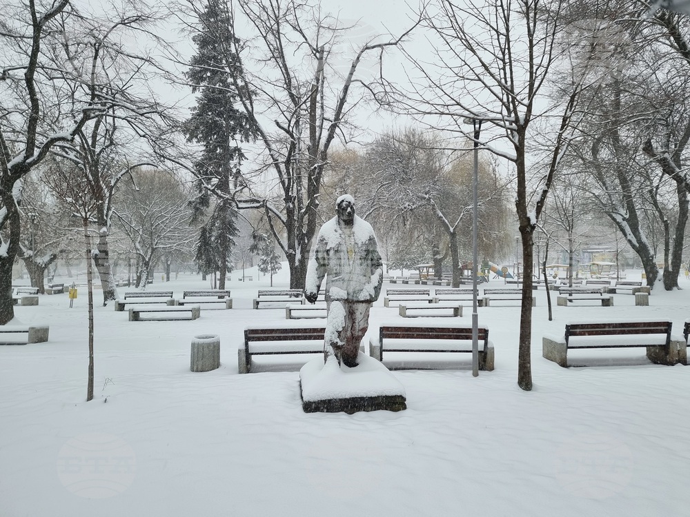 Монтана - зимна обстановка