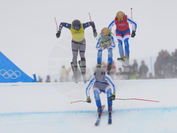 Milan Cortina Olympics Freestyle Skiing