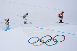 Milan Cortina Olympics Freestyle Skiing