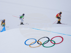 Milan Cortina Olympics Freestyle Skiing