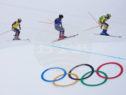 Milan Cortina Olympics Freestyle Skiing
