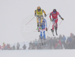 Milan Cortina Olympics Freestyle Skiing