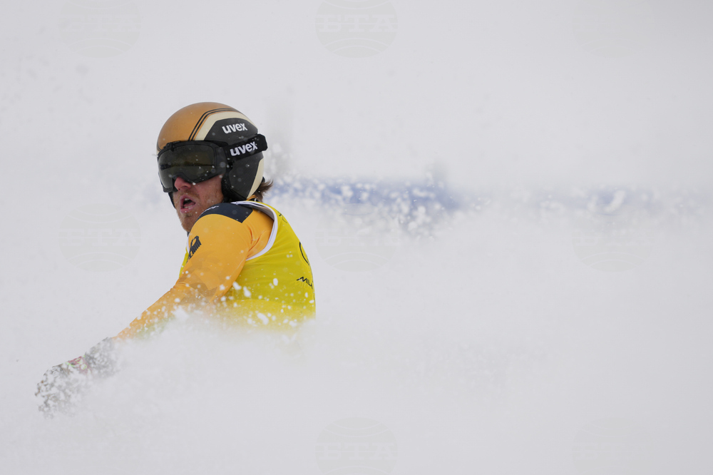 Milan Cortina Olympics Freestyle Skiing