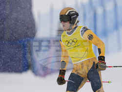 Milan Cortina Olympics Freestyle Skiing