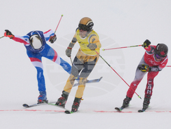 Milan Cortina Olympics Freestyle Skiing