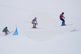 Milan Cortina Olympics Freestyle Skiing