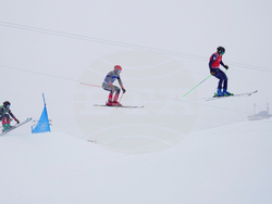 Milan Cortina Olympics Freestyle Skiing