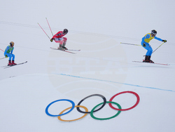 Milan Cortina Olympics Freestyle Skiing