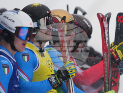 Milan Cortina Olympics Freestyle Skiing