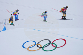 Milan Cortina Olympics Freestyle Skiing