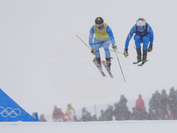 Milan Cortina Olympics Freestyle Skiing