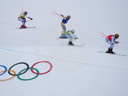 Milan Cortina Olympics Freestyle Skiing