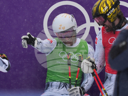 Milan Cortina Olympics Freestyle Skiing