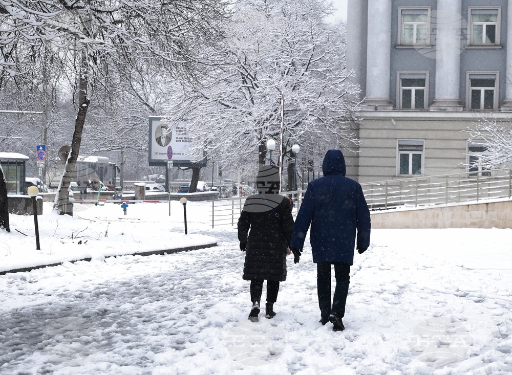 Столица - ежедневие - сняг