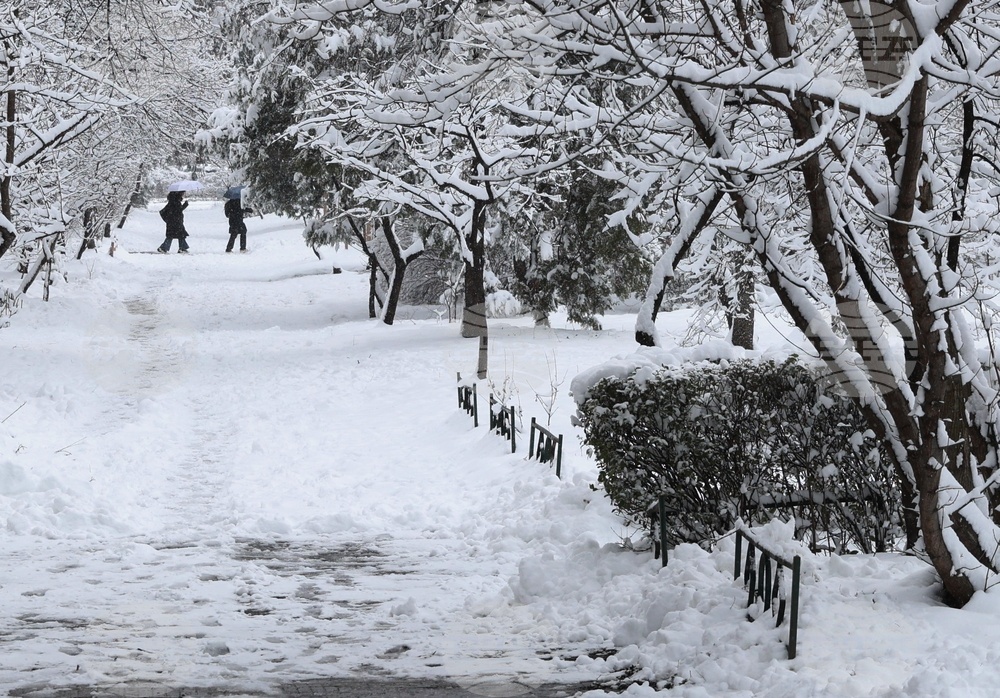 Столица - ежедневие - сняг