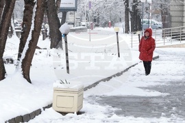 Столица - ежедневие - сняг