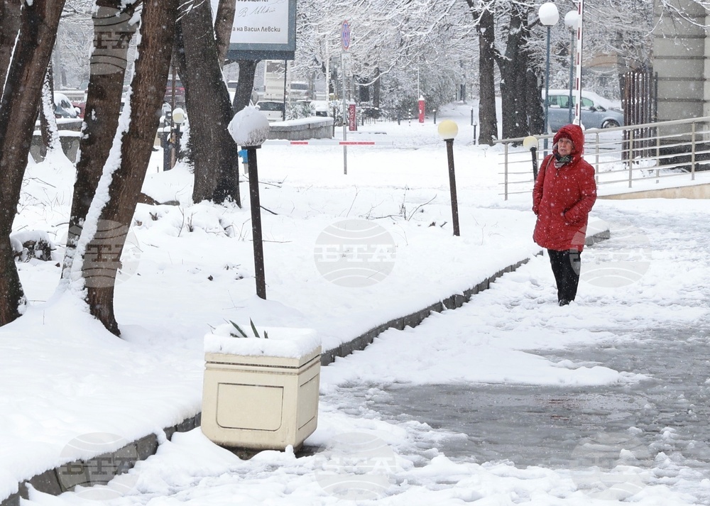 Столица - ежедневие - сняг